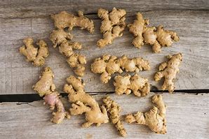 Ginger (Elephant, Red and Emprit)